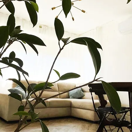 Suitesflores - Bright And Cozy In Apartment *
